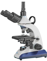 BMS EduLed FLArQ trino