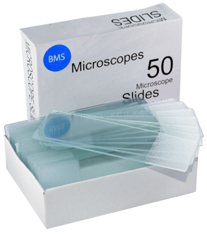 BMS microscope slides 76 x 26 mm, single frosted, 1.0 - 1.2 mm thick
