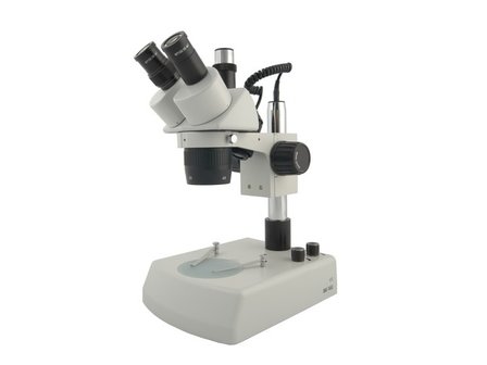 Estereomicroscopio BMS 11-B-2L (1x/3x) Trino