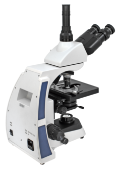 Microscoop BMS D2-223sP 600x