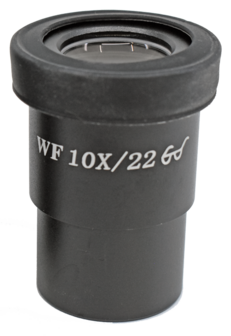Oculaire WF10x/22 mm avec microm&egrave;tre pour BMS D3