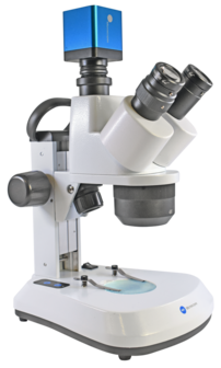 Stereomicroscoop BMS ST-40-C-2L LED trino
