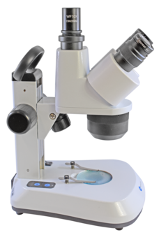 Stereomicroscoop BMS ST-40-C-2L LED trino