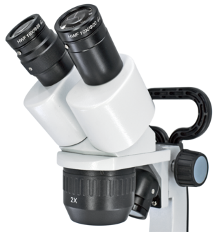 Stereo BMS S-20-2L (2x), USB-C