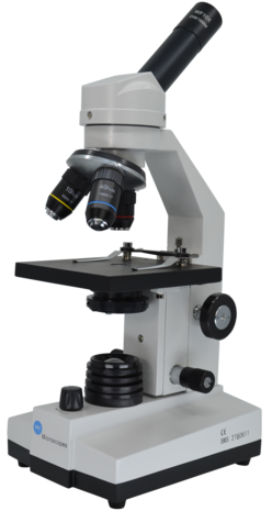 Microscoop BMS 100-FL LED, UK-stekker en micrometeroculair