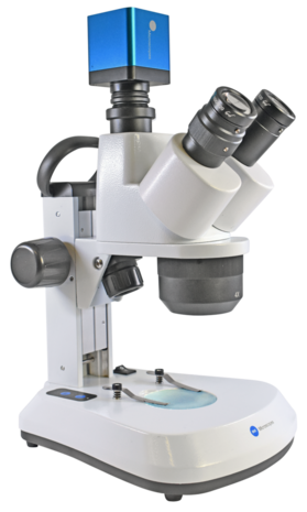 Stereomicroscoop BMS ST-40-C-2L LED trino