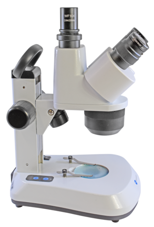 Stereomicroscoop BMS ST-40-C-2L LED trino