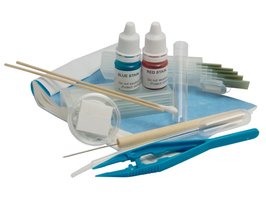 Starterkit BMS Mikroskop